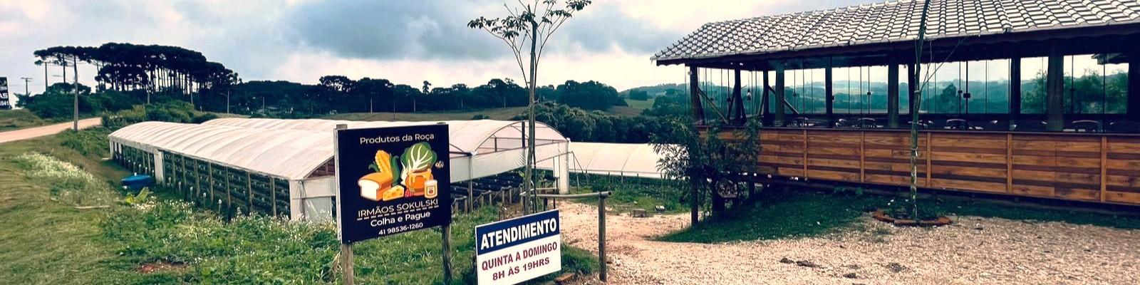 Produtos da Roça Irmãos Sokulski.jpeg