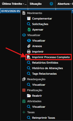 ImprimirCompleto.png